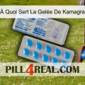 À Quoi Sert La Gelée De Kamagra new15